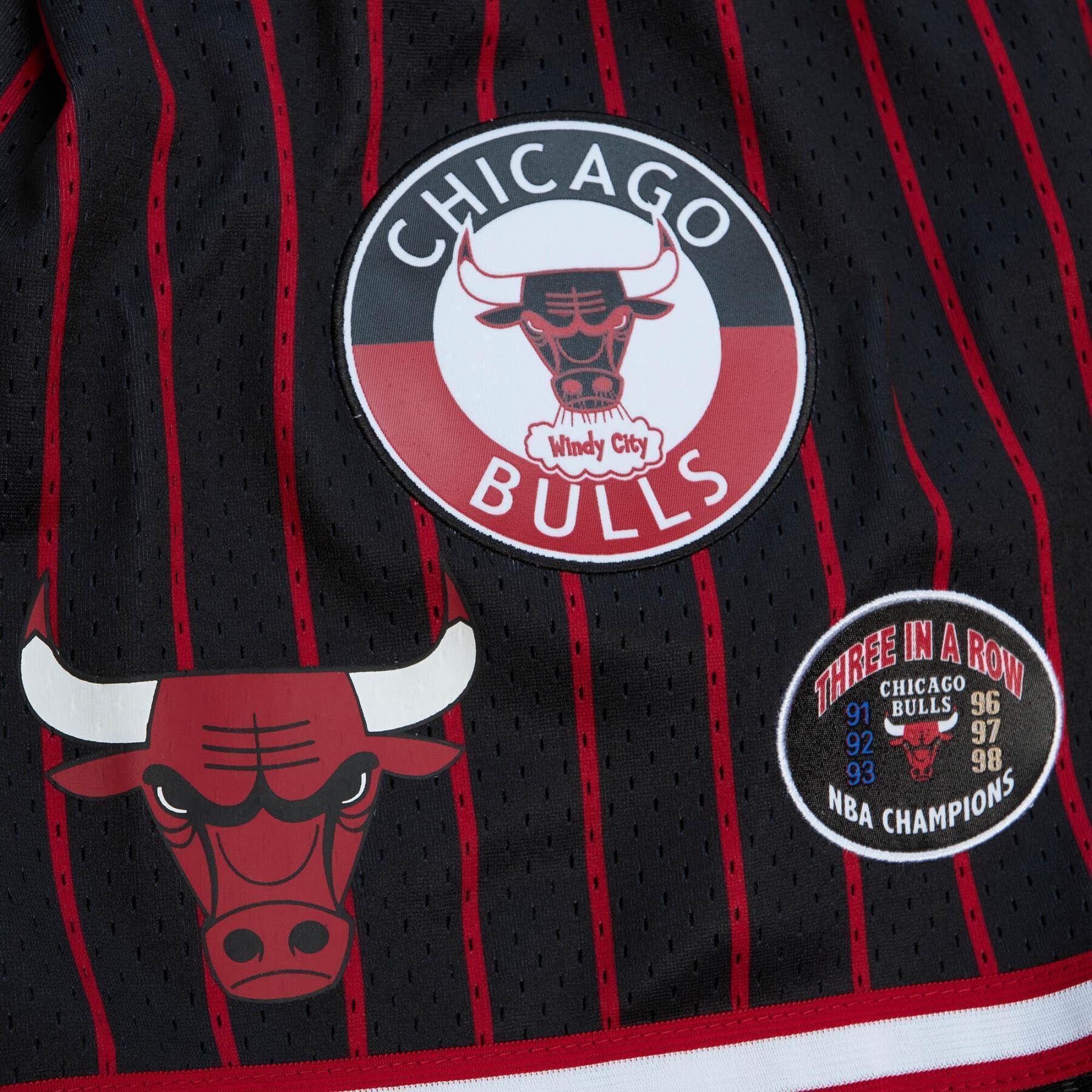 Curta Chicago Bulls Hometown Mesh