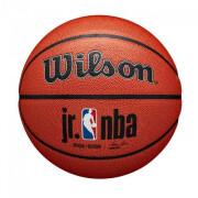 Bola Wilson JR NBA Authentic Indoor/outdoor