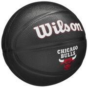Mini balão nba Chicago Bulls