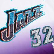 Jersey Utah Jazz NBA 75Th Anniversary Swingman 1996 Karl Malone