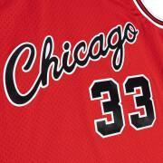 Jersey Chicago Bulls NBA Alternate 2003 Scottie Pippen