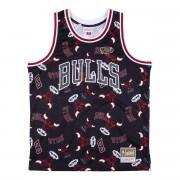 Camisola Chicago Bulls Tear Up Pack