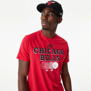 T-shirt Chicago Bulls NBA Team Graphic
