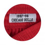 Calções Chicago Bulls nba