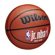 Balão Wilson NBA Fam