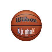 Balão Wilson NBA Authentic