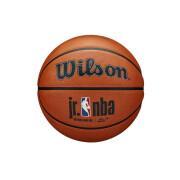 Balão Wilson JR NBA Authentic series outdoor